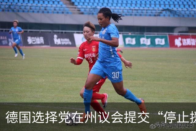 德国选择党在州议会提交“停止援乌”动议