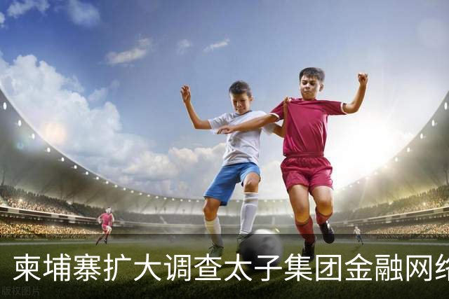 柬埔寨扩大调查太子集团金融网络，开始追“幕后主脑”