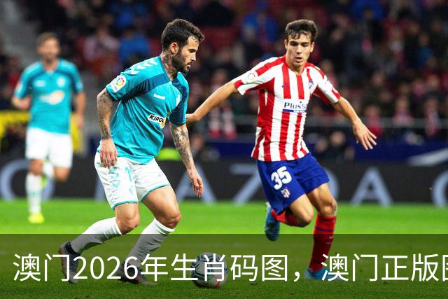澳门2026年生肖码图，澳门正版图库图片大全，17图库澳门免费图片大全，第282期新六合彩精准内部资料100%准吗澳门图库大全49图库